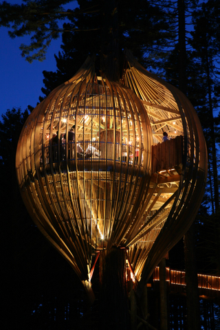 Illustration for article titled These Are The Most Amazing Tree Houses Ever